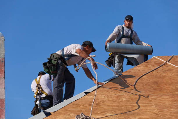 Best Roof Leak Repair  in Gilbert, MN